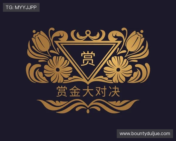 认识赏金大对决